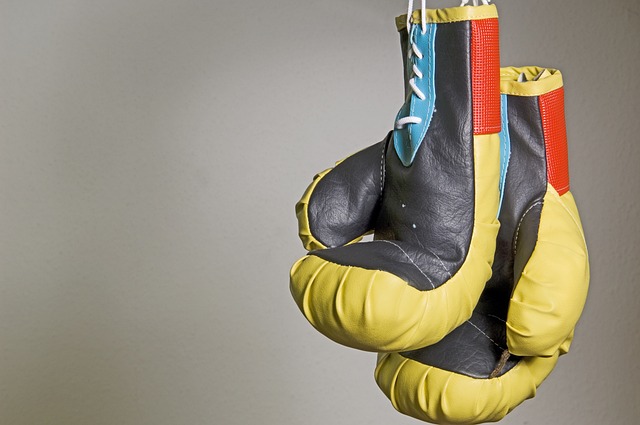 Mănuși de box – echipamentul fundamental al antrenamentului