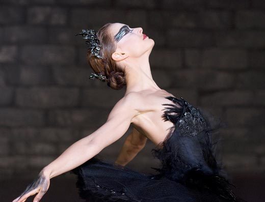 1561555.black swan4