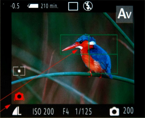 Accesorii necesare in fotografia digitala