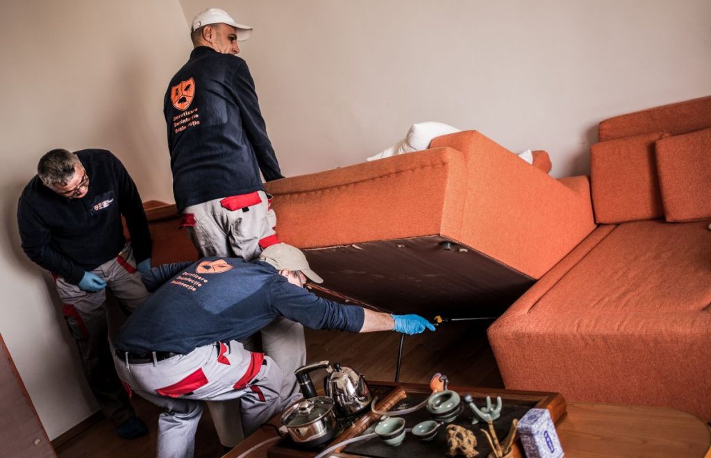 deratizare dezinsectie